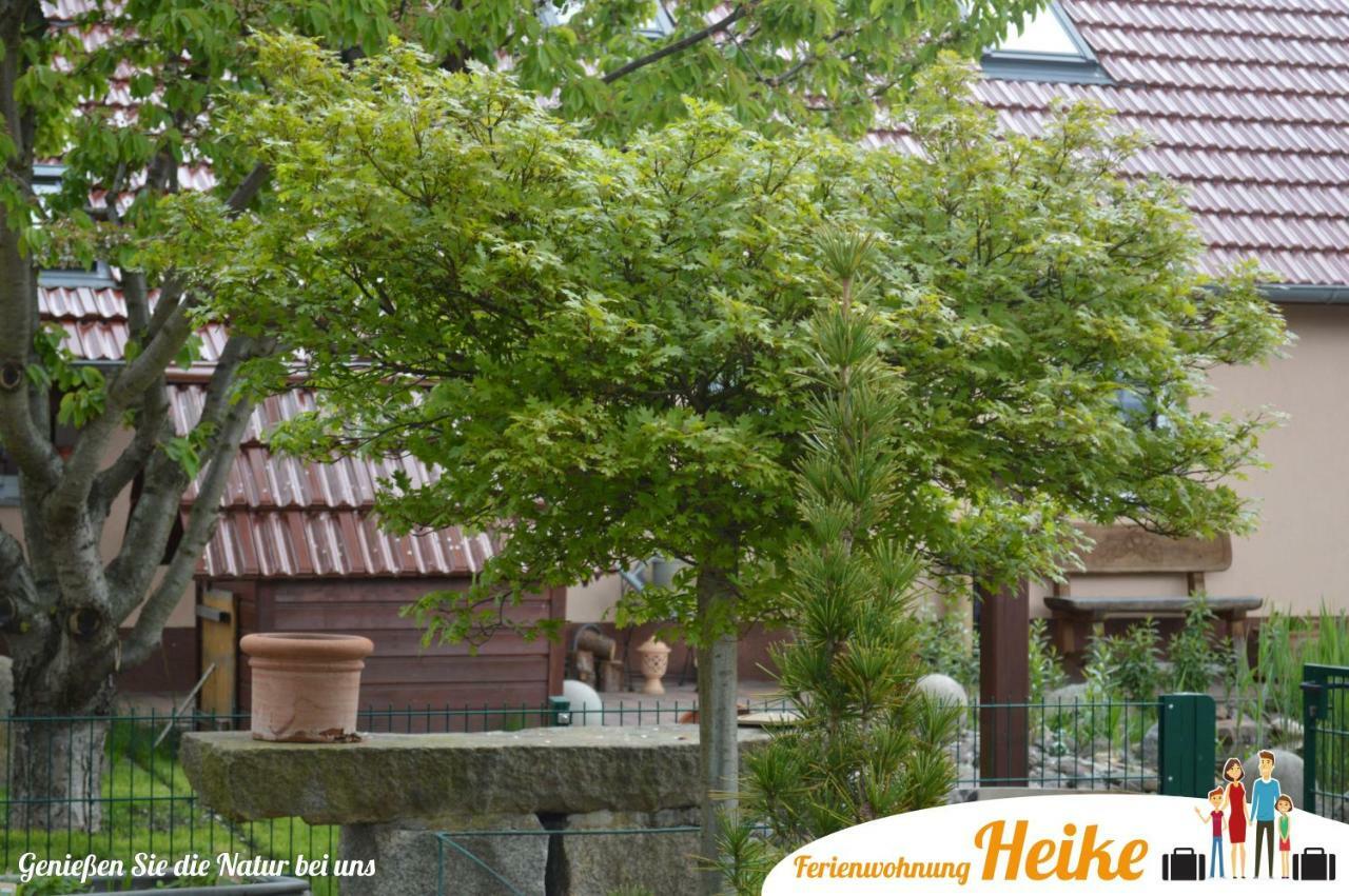 Ferienwohnung Heike ชเปรมแบร์ก ภายนอก รูปภาพ