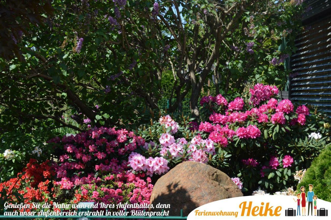Ferienwohnung Heike ชเปรมแบร์ก ภายนอก รูปภาพ